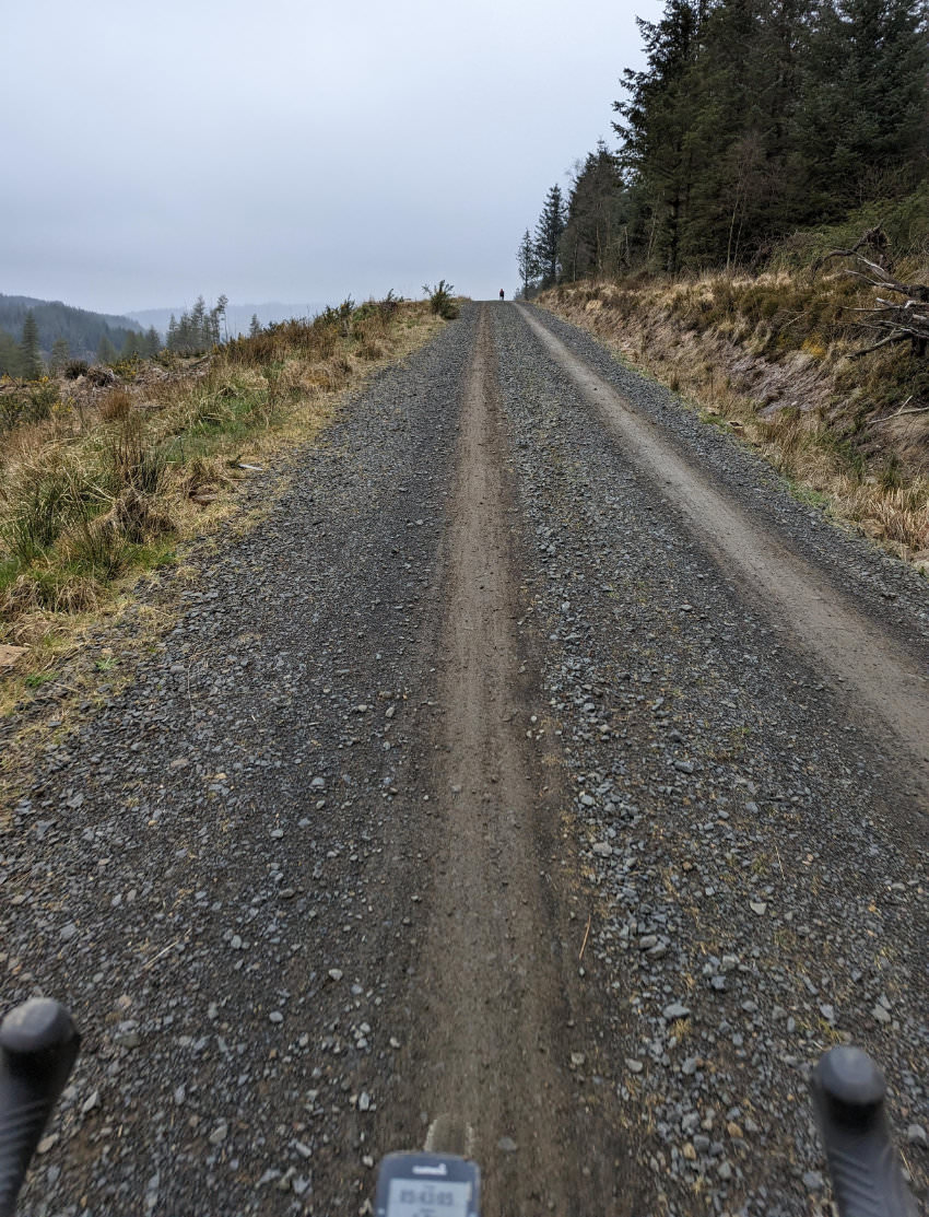Gravel Bike